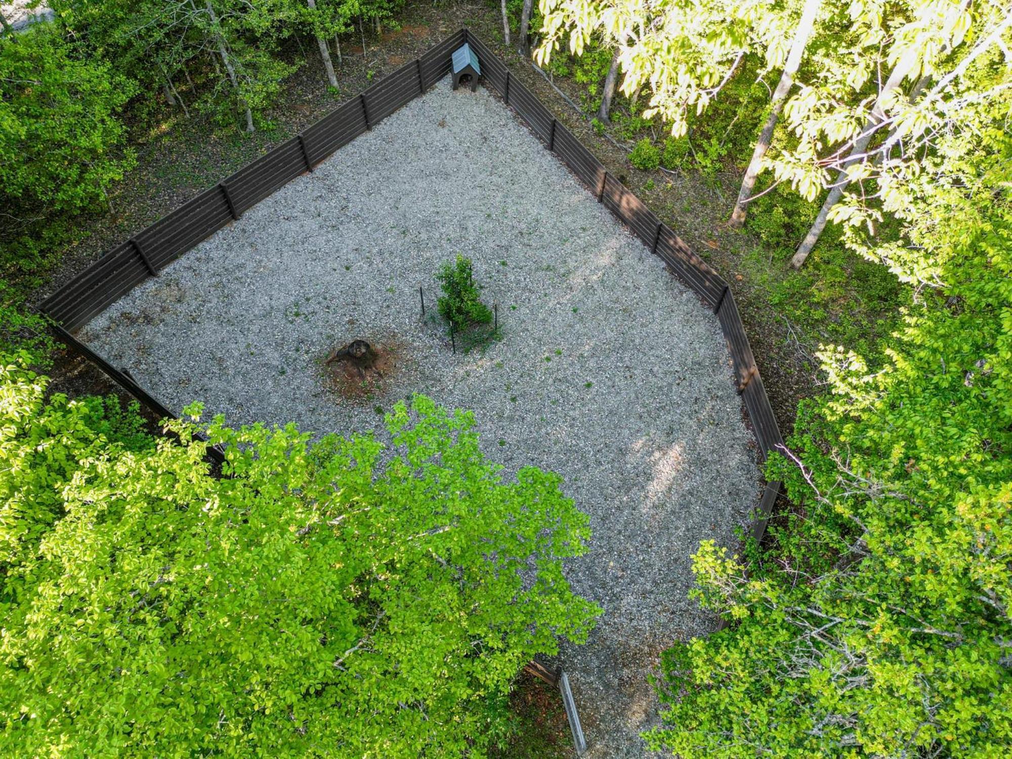 The Big Little Cabin - Hot Tub & Playground Dahlonega Zewnętrze zdjęcie